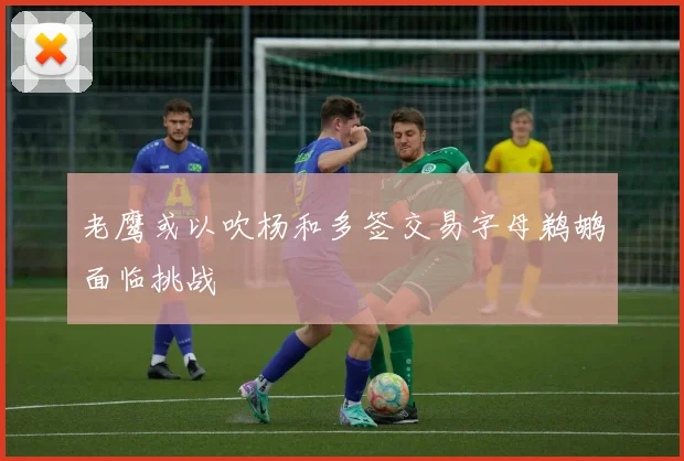 老鹰或以吹杨和多签交易字母鹈鹕面临挑战
