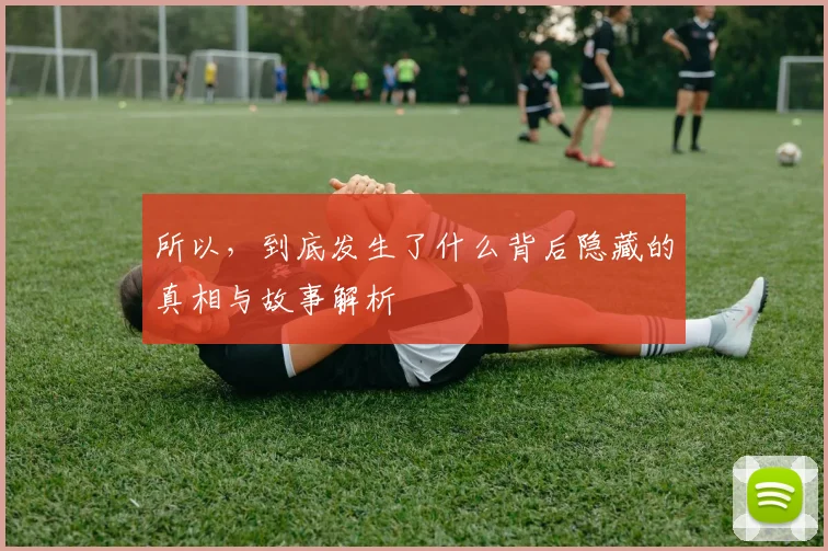 所以，到底发生了什么背后隐藏的真相与故事解析