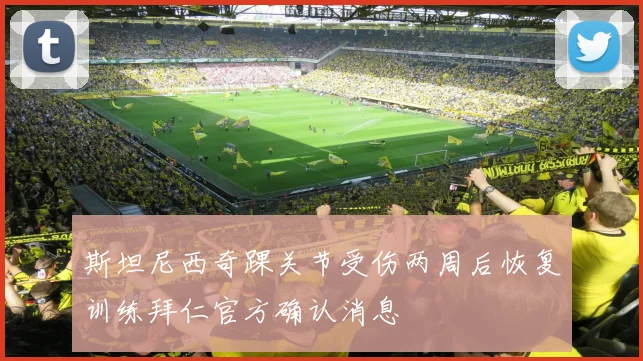 斯坦尼西奇踝关节受伤两周后恢复训练拜仁官方确认消息